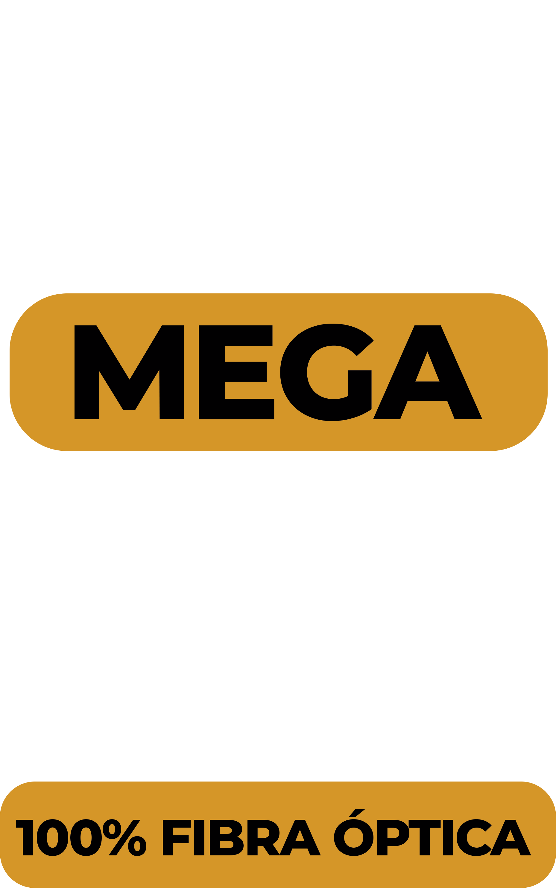 Plano 100 Mega
